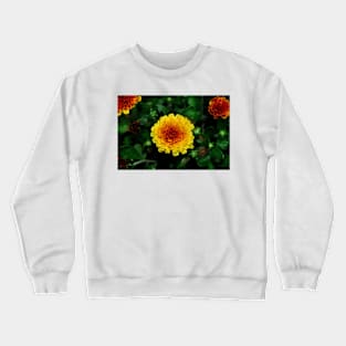 Sun Burst After the Rain Crewneck Sweatshirt